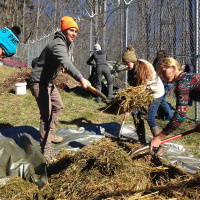 Would you compost your body? | terrestrial