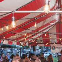 Lit Fest 2020 Salon: Whats Art For?