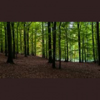 Wie viel ist Natur uns wert?