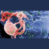 Können wir HIV besiegen?
