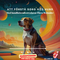 Att förstå sorg hos hund