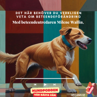 Det här behöver du verkligen veta om beteendeförändring