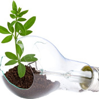 O cara da Inovacao - Ep. 1