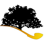 Susurros Del Bosque Viejo