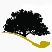 08. Restrospectiva al primer ciclo