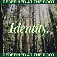 [Talkeetna] Identity |1| New Birth in Christ :: Codie Farrington