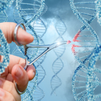 Episode 46 - Past, Present  Future of Precision Medicine