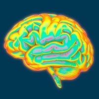 Episode #126 - Amazing Brains: How Words  Language Meaning are Encoded in Brain Activity