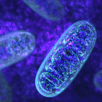 Episode #67 - Mitochondrial Disease: Power Outage at a Cellular Level