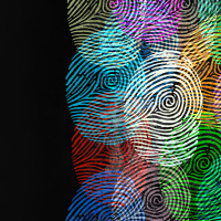 Episode #113 - Data Collection: The Roots of Research