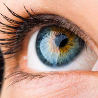 Episode #29 - Eye Institute 40th Anniversary