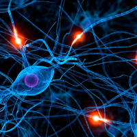 Episode #12 - Parkinson’s Disease Awareness Month