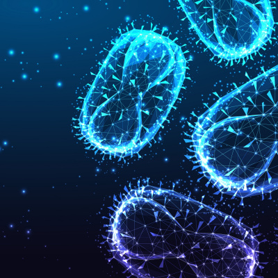 Ctsi Discovery Radio