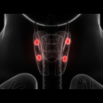 Ctsi Discovery Radio