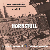 Avsnitt 5. Hornstull