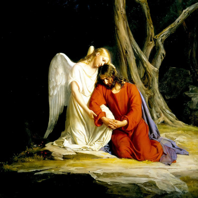 Houma-thibodaux Homilies