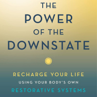 303 - El Poder del Estado Descendente - Lecturas Recomendadas Conocimiento Experto