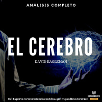127 - El Cerebro (Tu Historia)
