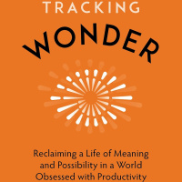 285 - El Poder del Asombro - Lecturas Recomendadas Conocimiento Experto