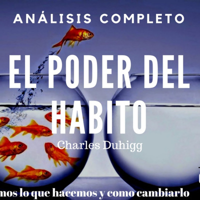 Conocimiento Experto