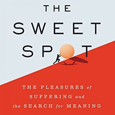 Conocimiento Experto