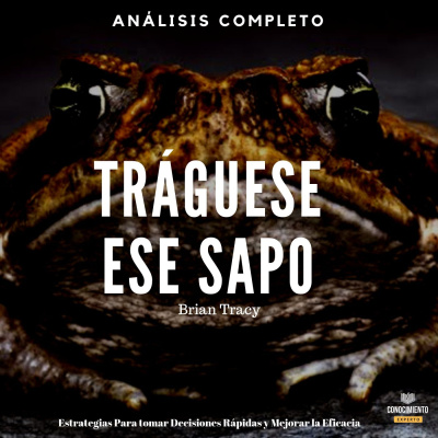 Conocimiento Experto