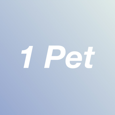 1-year New Testament