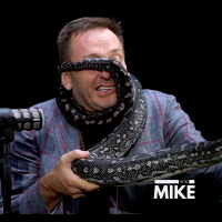 The Travelling Bushman