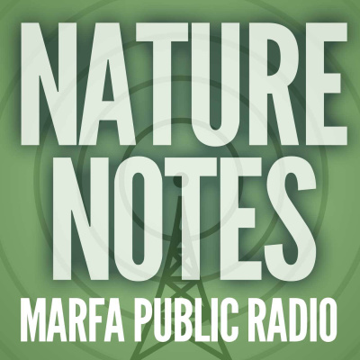 Nature Notes From West Texas Public Radio