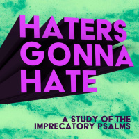 Haters Gonna Hate: Shake It Off