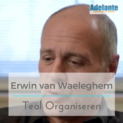Teal Organiseren In Nederland