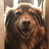 S01E03 - Home Again!