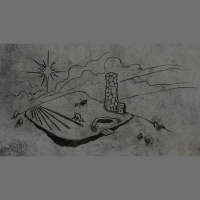 Students | The Vineyard Initiative // Plant