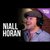 Niall Horan Talks New Album, One Direction and Blonde Hair