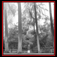 Deeper Discussions: Abigail and Folklore