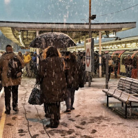 Emergency Snowverview