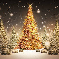 Weathercocks Christmas Special 2017