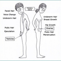 Episode 5: Body Talk and Puberty, A Tough but Necessary Conversation