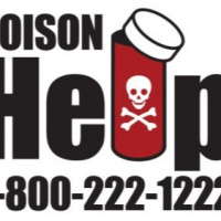 Episode 7: Poison proof your home!