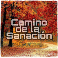 Lecciones de vida. Podcast 733. Camino de la Sanación
