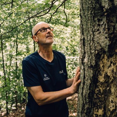 Swr3 Talk Mit Thees | Swr3