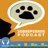 119 - Vacaciones y libros