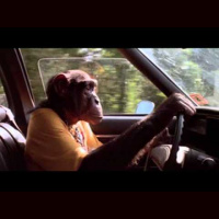 Avsnitt 188 - Rosemarys Baby och Carnival Magic