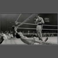 Avsnitt 179 - Raging Bull och Attack From Space