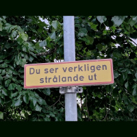 Avsnitt 231 - Roadtrip sommar 2021!