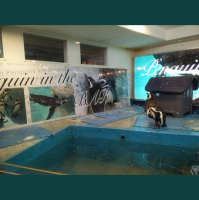 Avsnitt 143 - Minbo no Onna och Owls Castle