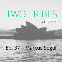 Is your business medicine or vitamins? - Ep.37 - UpShift Capital, Zynga - Marcus Segal