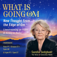Cracking the Consciousness Code with Dr. Anneloes Smitsman