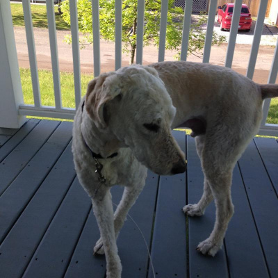 Albert Hathazis Posts