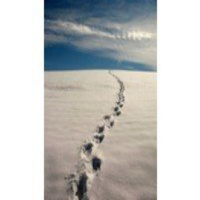 Nuevo mercado laboral. Tu estabilidad más allá del empleo